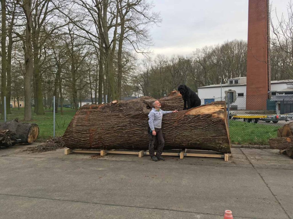 Knigge Eichenstamm mit Falk und Coco