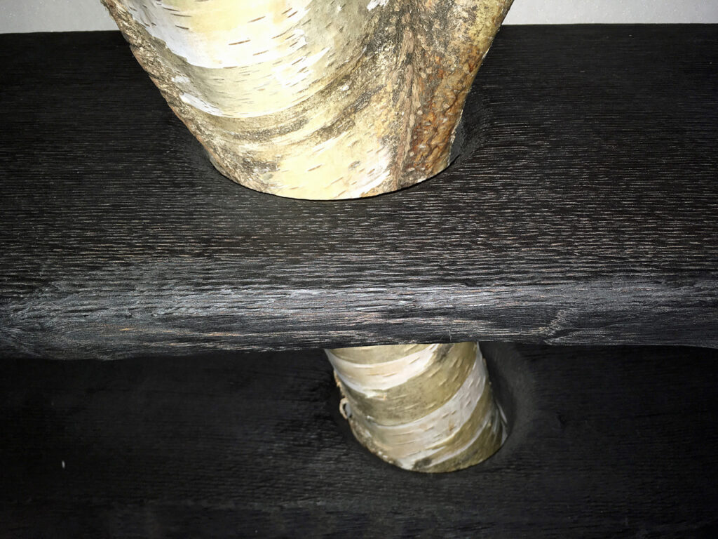 echter Birkenstamm bei einer schwarzen Flurgarderobe