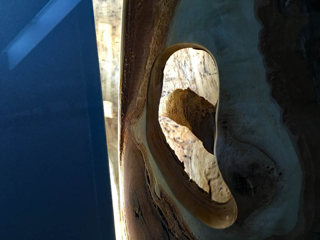 Von der Natur so gewollt Astloch im Baumstamm Möbel